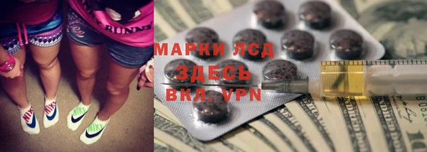 ГАЛЛЮЦИНОГЕННЫЕ ГРИБЫ Белокуриха