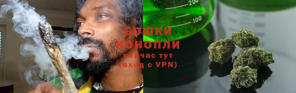 ГАЛЛЮЦИНОГЕННЫЕ ГРИБЫ Белокуриха
