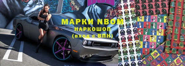 ГАЛЛЮЦИНОГЕННЫЕ ГРИБЫ Белокуриха
