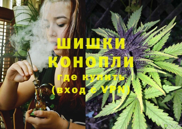 ГАЛЛЮЦИНОГЕННЫЕ ГРИБЫ Белокуриха