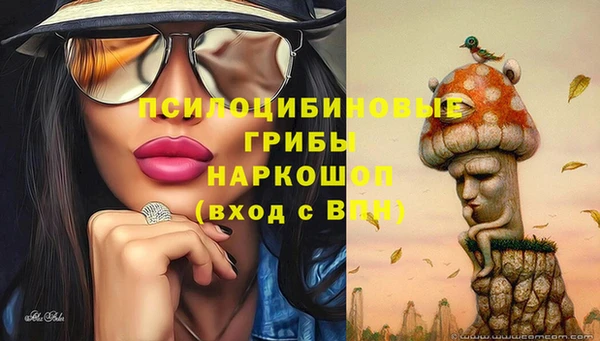ГАЛЛЮЦИНОГЕННЫЕ ГРИБЫ Белокуриха