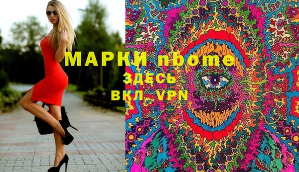 ГАЛЛЮЦИНОГЕННЫЕ ГРИБЫ Белокуриха