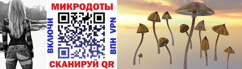 кракен ССЫЛКА  Нижнекамск  Псилоцибиновые грибы Psilocybe 